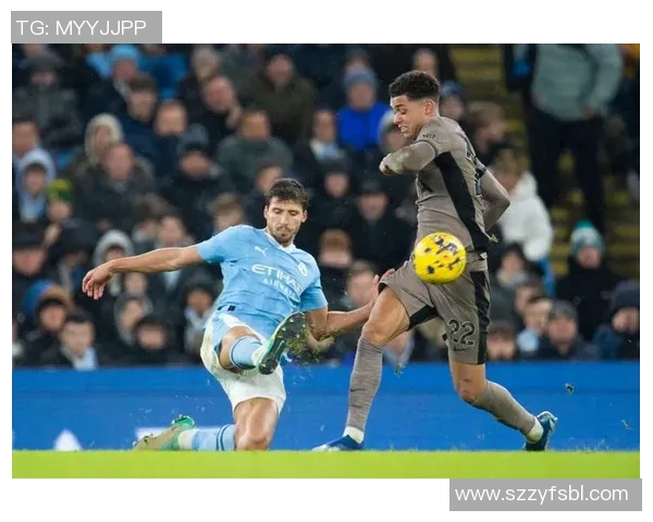 英超SPURS球队:热刺队(SPURS)在英超联赛中的历程与表现