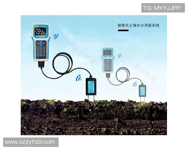 大米种植技术创新与可持续发展路径研究及其对农业生态环境的影响分析